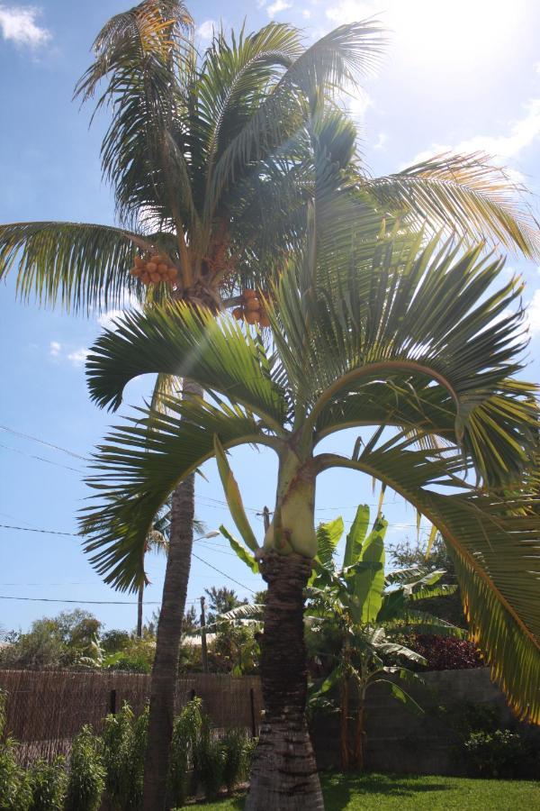 Jolie Case Creole, Lagon A Pied, Jardin Saint-Gilles-les-Bains Exterior foto